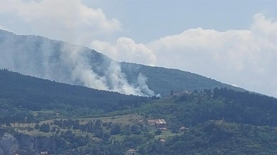 11823751_10205007825301597_1199571610_n