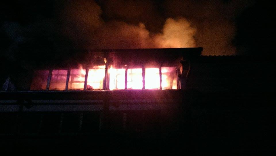 11908270_10206737399609980_737909749_n