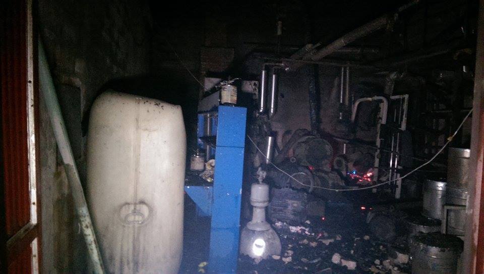 11948253_10206737360248996_1334472714_n