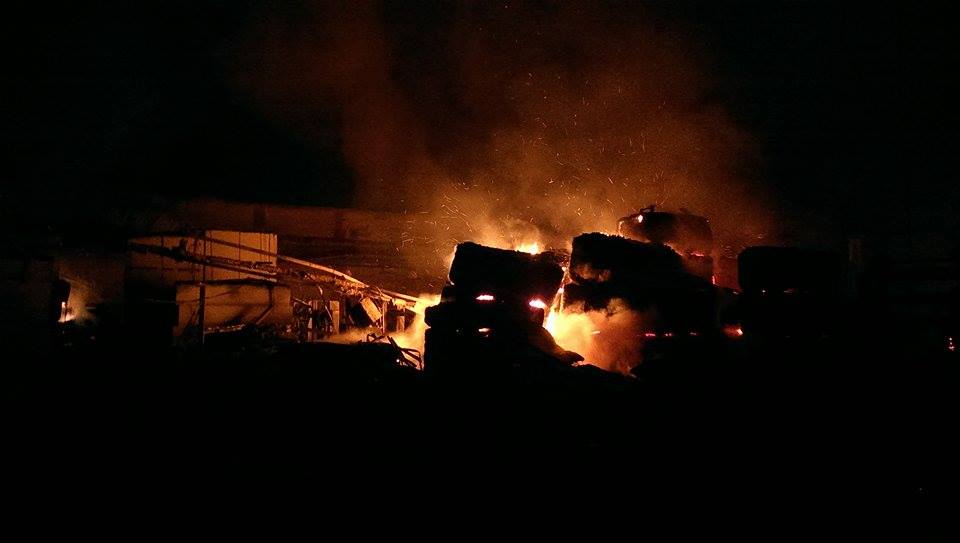 11951065_10206737330528253_985719116_n