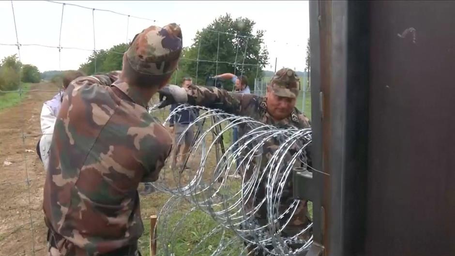 12019144_10207894260133350_1911172150_o