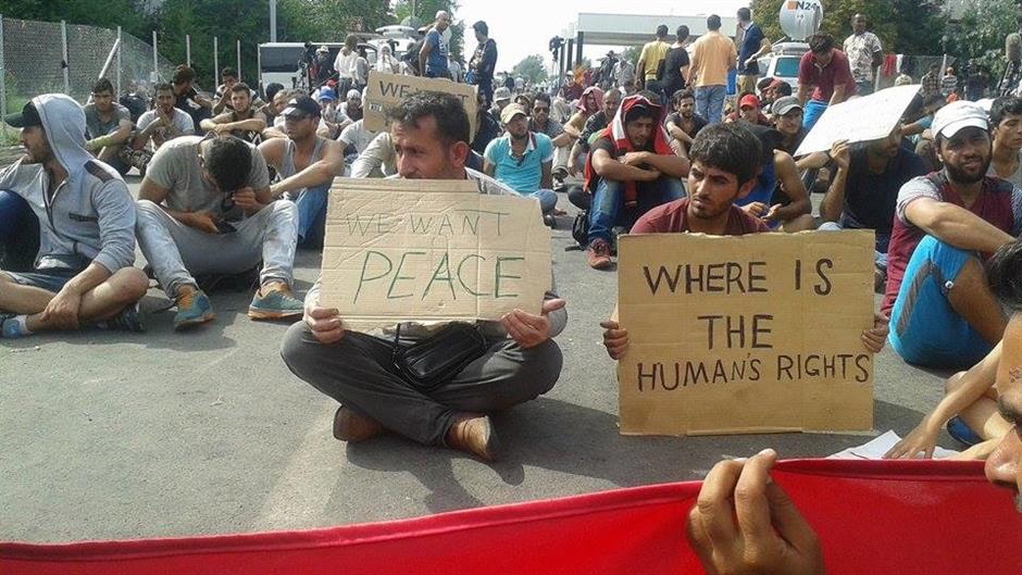 12023257_10204741658328630_1514808153_n