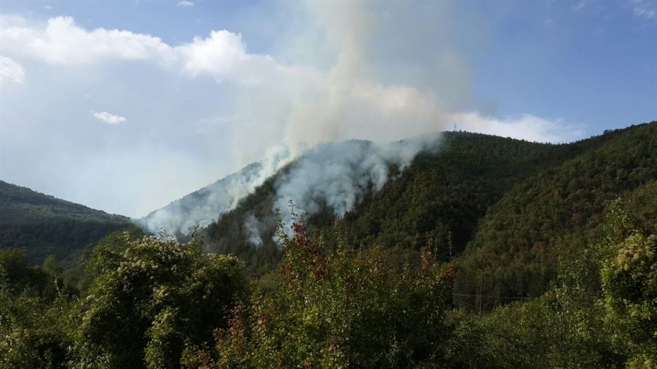 12041113_10153175645173693_1600370478_o