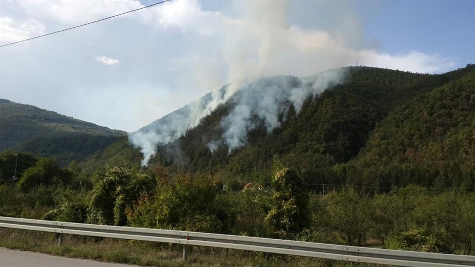 12051007_10153175644988693_2108879017_o