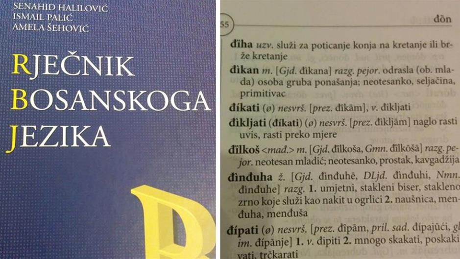 12109150_10156096045800461_8612776980074368161_n (1)