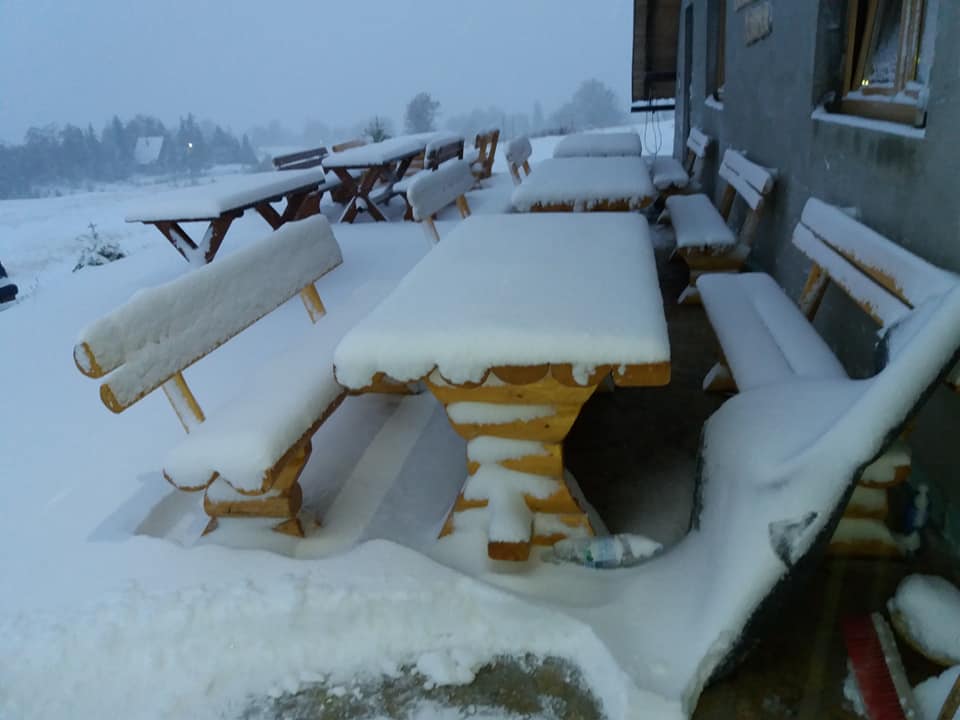 121528219_1740582159432426_1551257946754778413_n