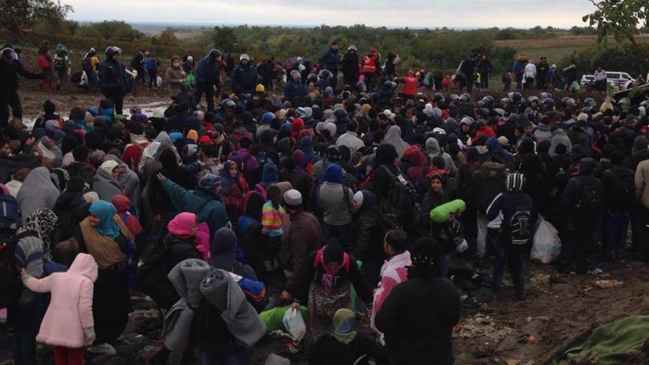 12166931_755988904527446_172932163_n