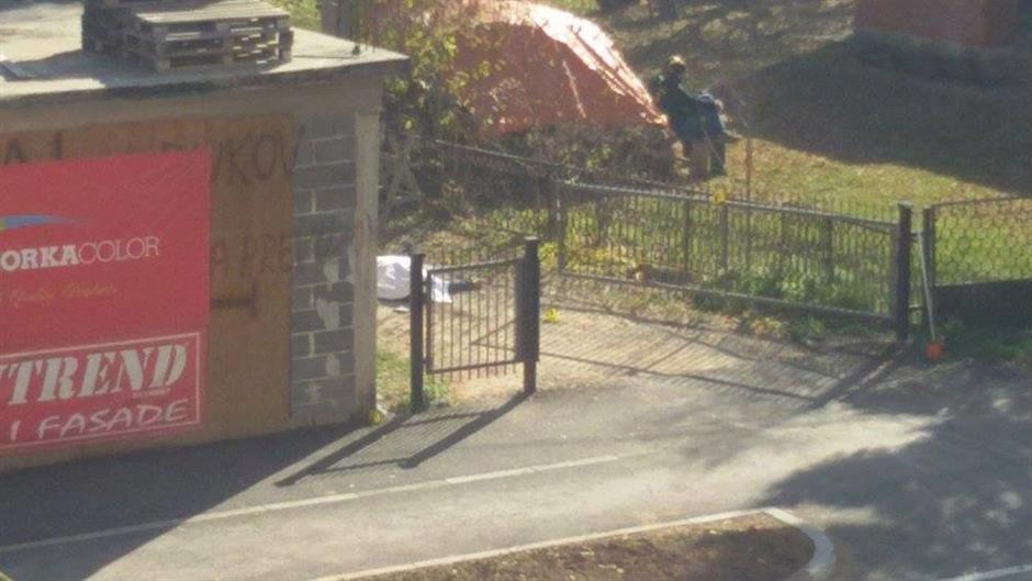 12226720_10205874215559311_331348317_n