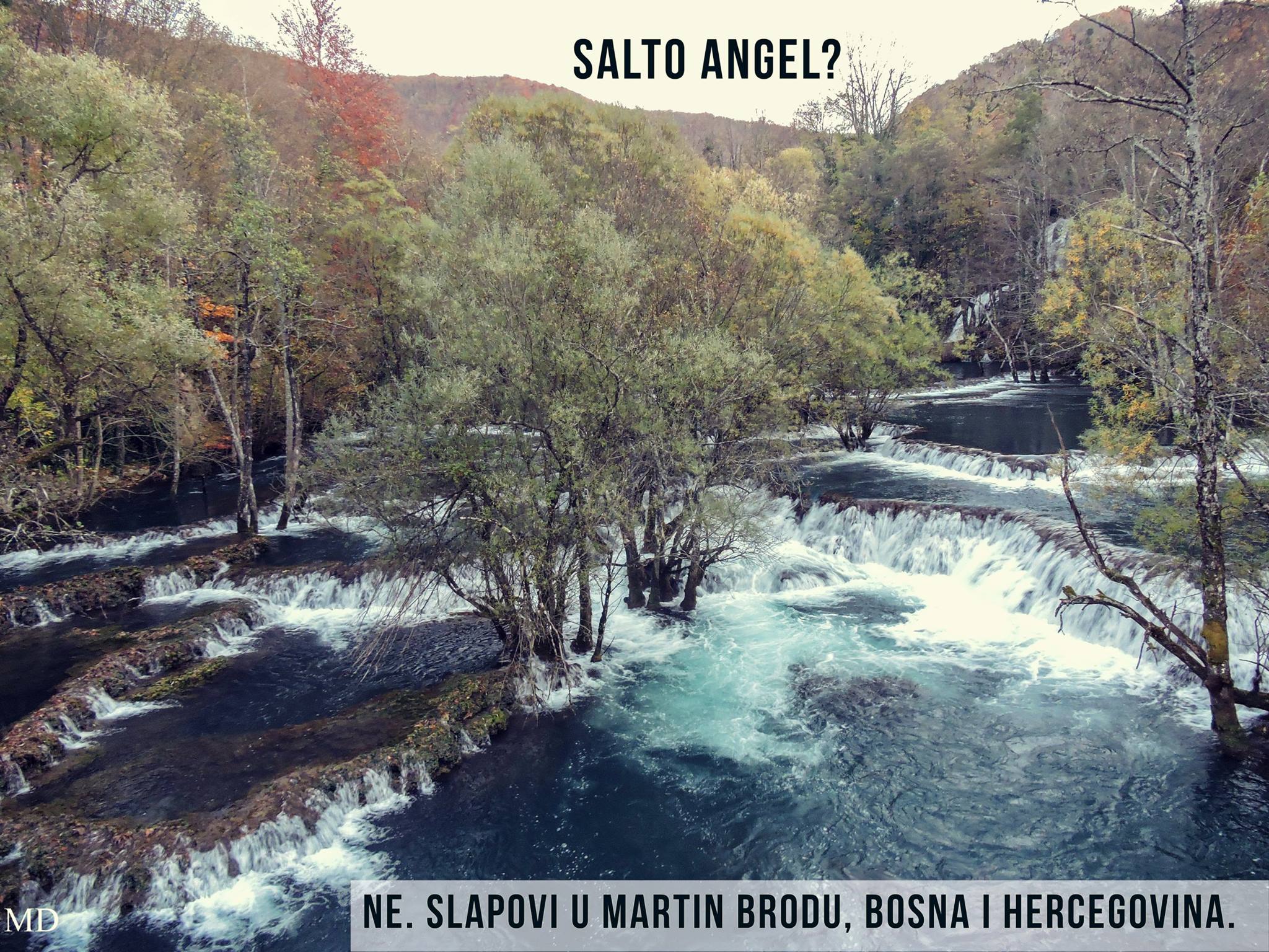 12471391_1106087332757377_7633318575068224155_o