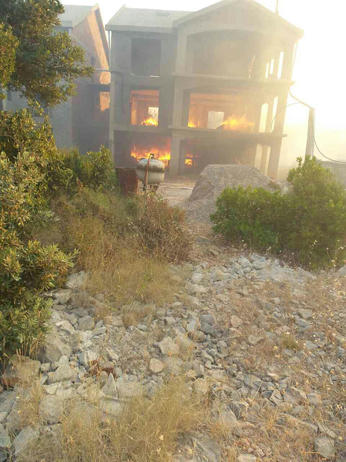 Služba zaštite Tivat