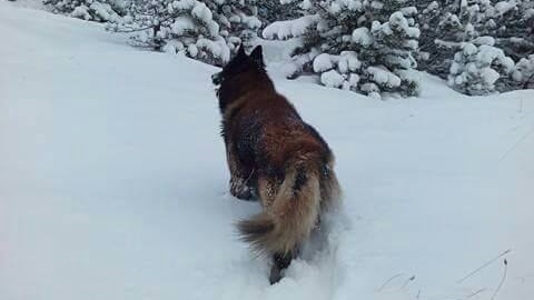 12648149_10153889595904061_446034499_n