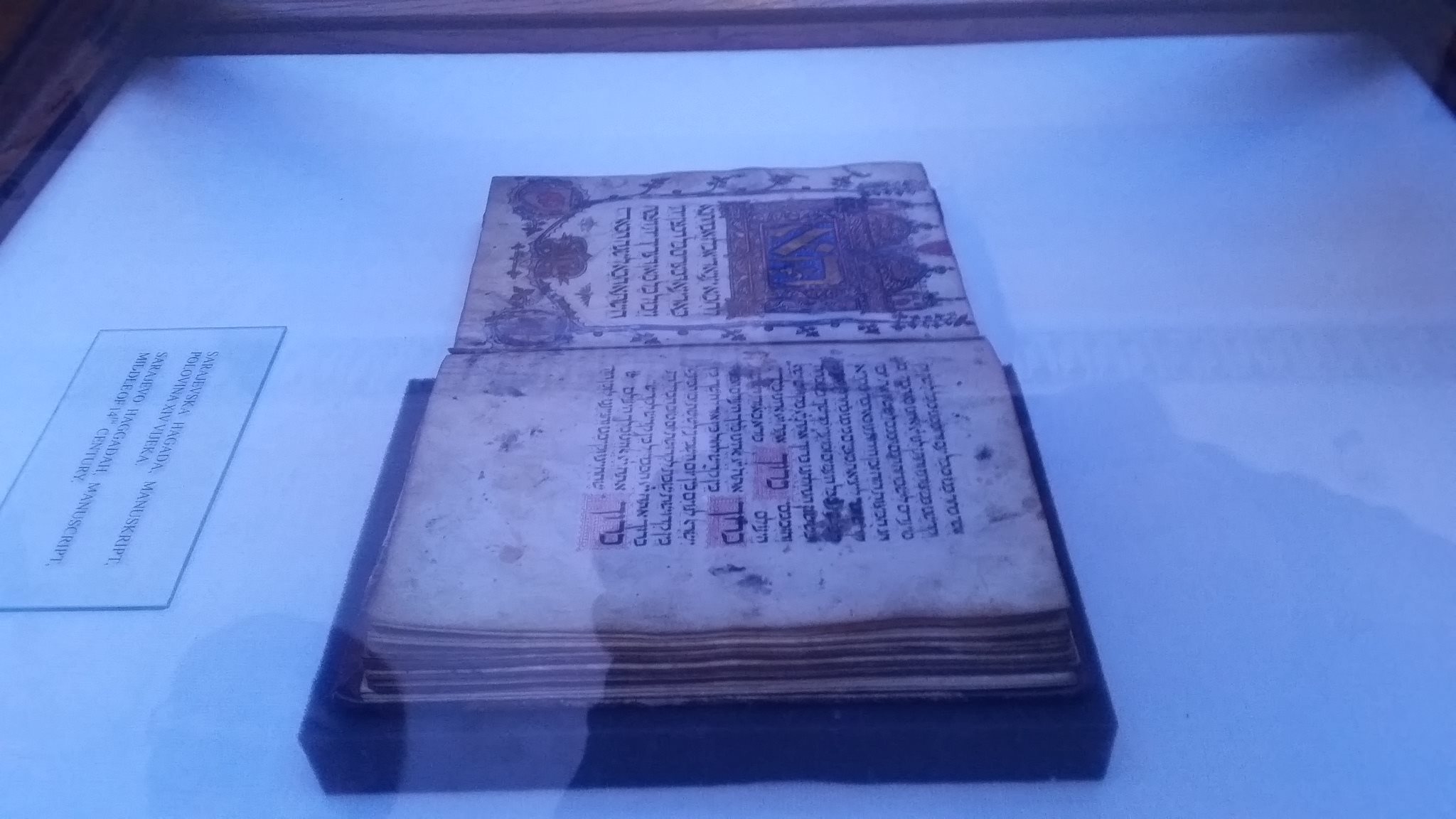 12669341_10207519727285842_1423905083_o