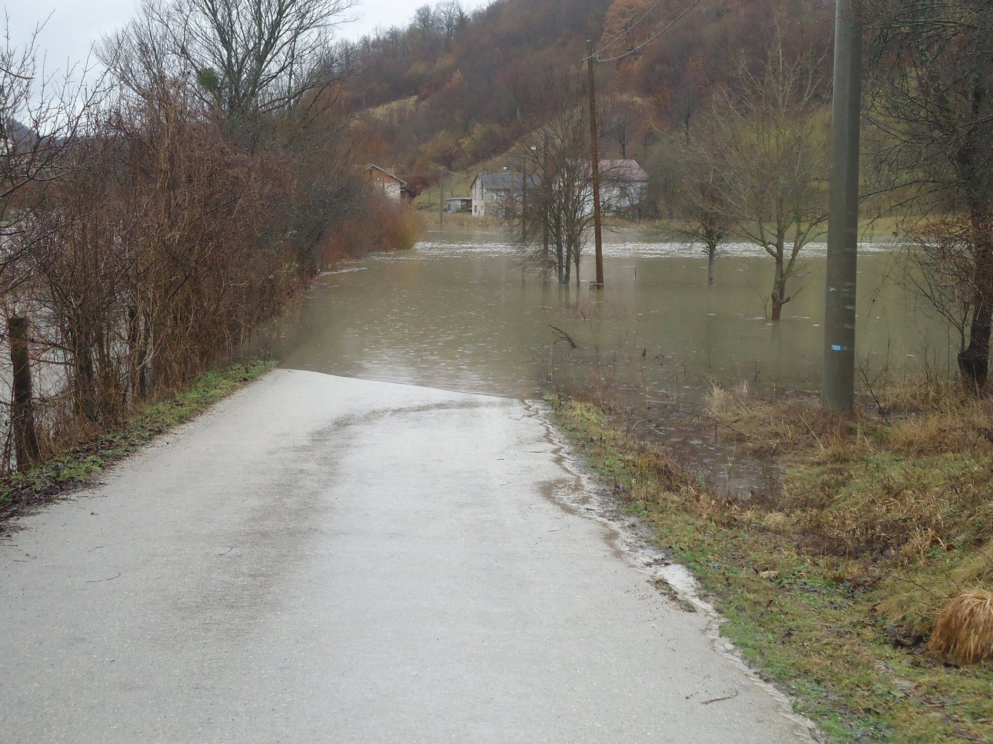 12716286_516057048519612_1169351683628072285_o