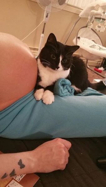 12794527_1068124726583650_8538525596281379097_n