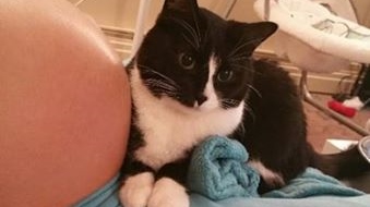 12794527_1068124726583650_8538525596281379097_n