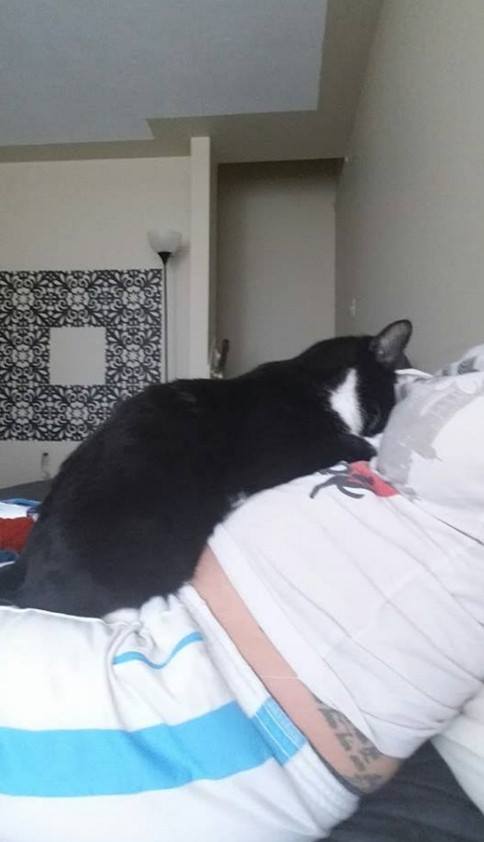 12800186_1068124766583646_6839374044933636353_n