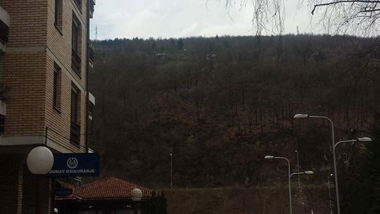 12804048_10207988703931806_755538215_n