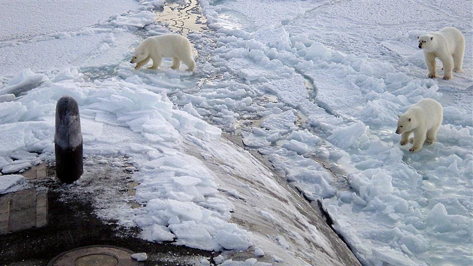 1280px-Polar_bears_near_north_pole