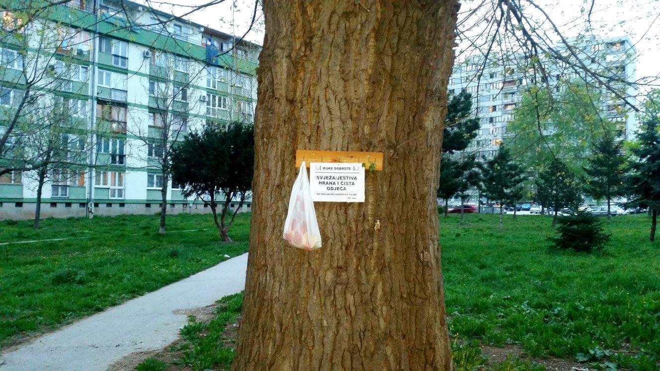 12953219_10208124836773201_739156441_o