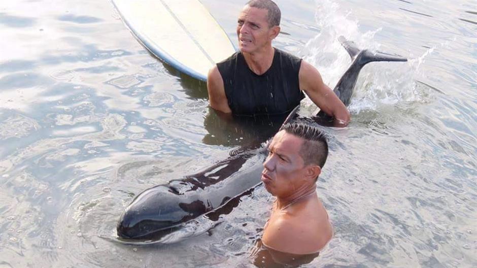 13015636_1531366513836269_3388293653745784039_n