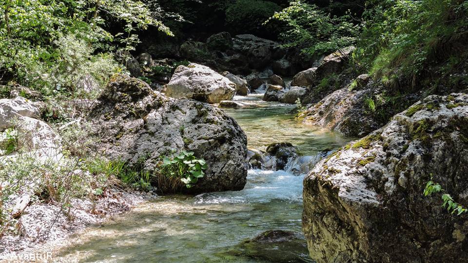 13062446_1180970021935774_3567171397721070019_n