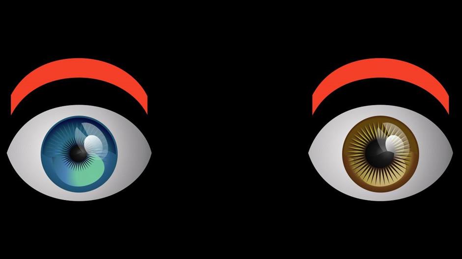 13064639_10154146530769491_682645278345975833_o