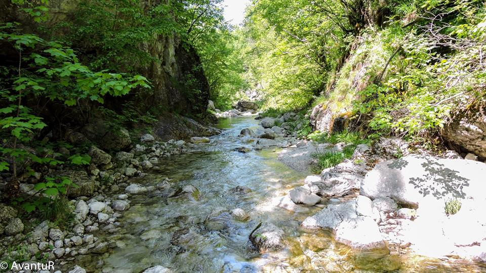 13076636_1180969951935781_2029158958259527875_n