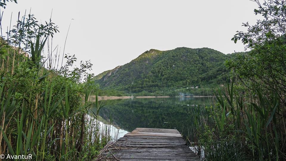 13076794_1180971585268951_4468265426962429336_n