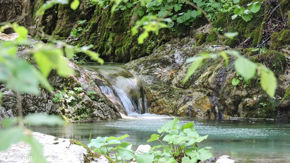 13103349_1180970268602416_1217560733737729168_n