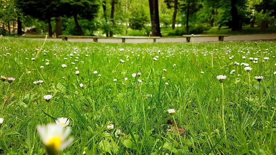 13113301_256667838018086_1808174230_o