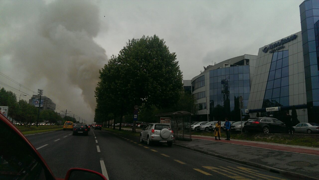 13262291_10208660997538726_777321763_o