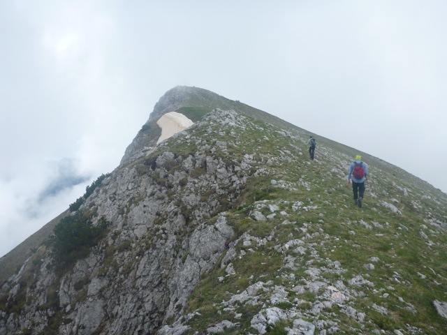 Zehrudin Isaković/Facebook