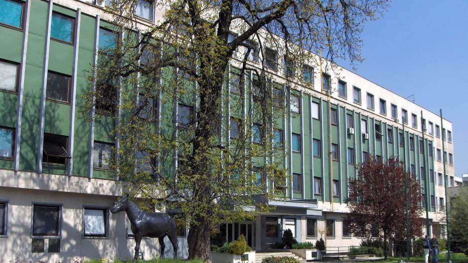 133986_124910977656112_691669233_o