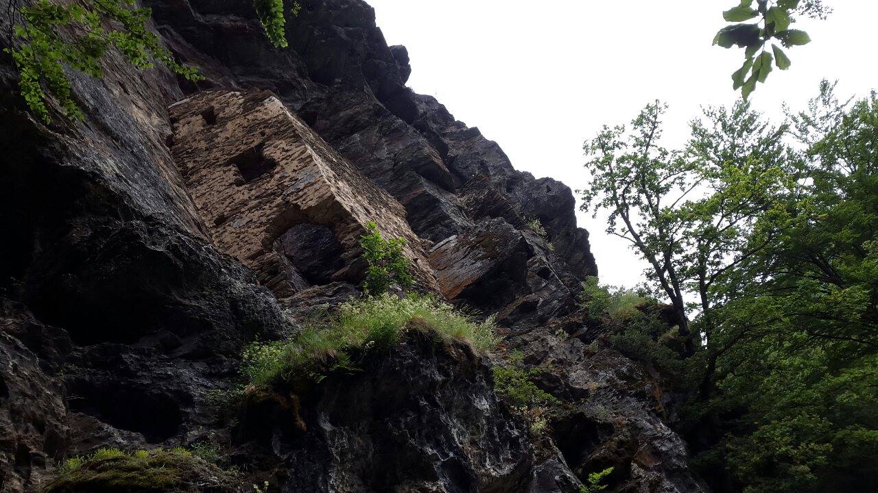 13509420_1727026950907109_652297798_o