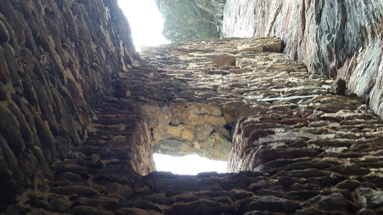 13518253_1727026377573833_271481941_o