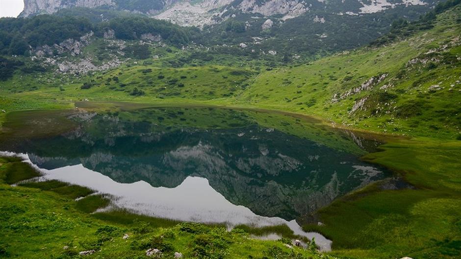 13528215_1029979787103417_505332513512009550_o