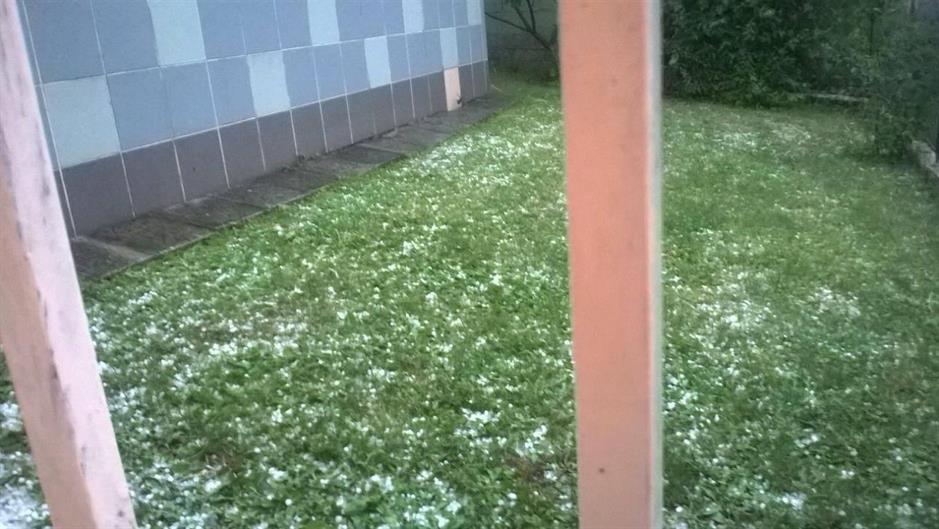 13555570_10153755906173693_470886304_o