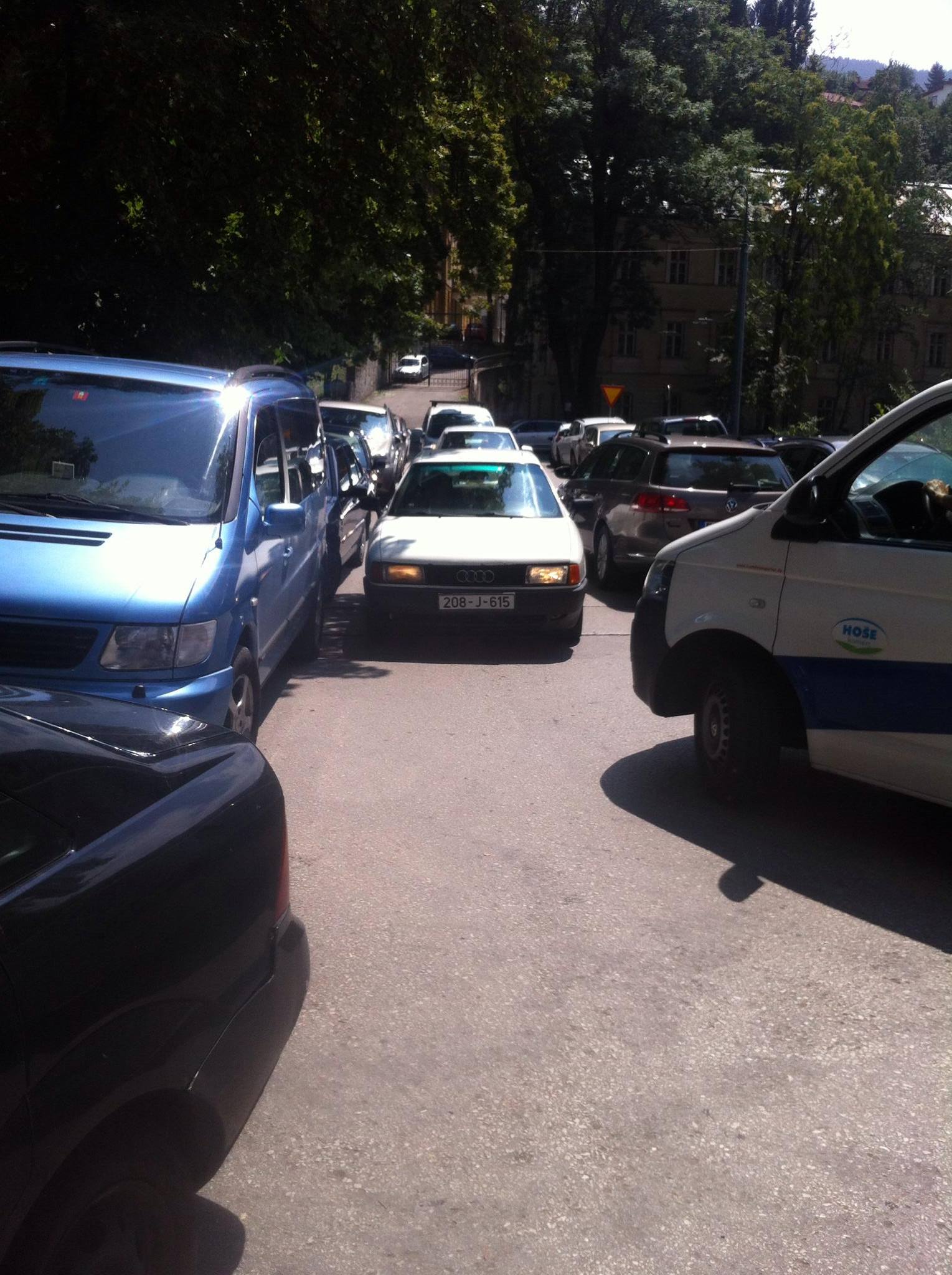 13646653_10153830091673693_740978569_o