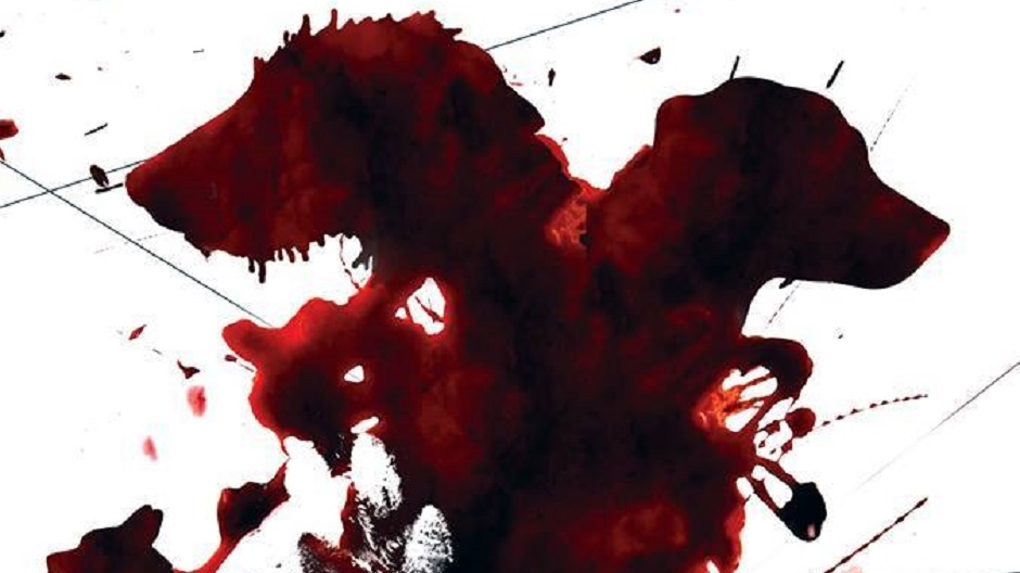 13728981_10155031492183502_3155565913954910139_n