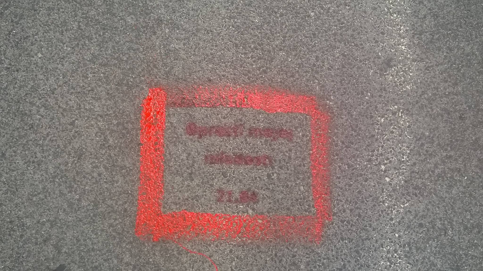 13920506_306211299730406_5995053962731576456_o