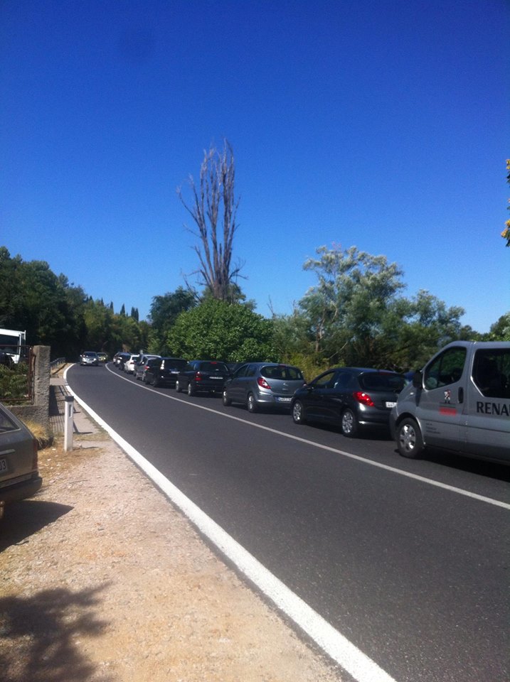 14017780_10153866263668693_1119552004_n