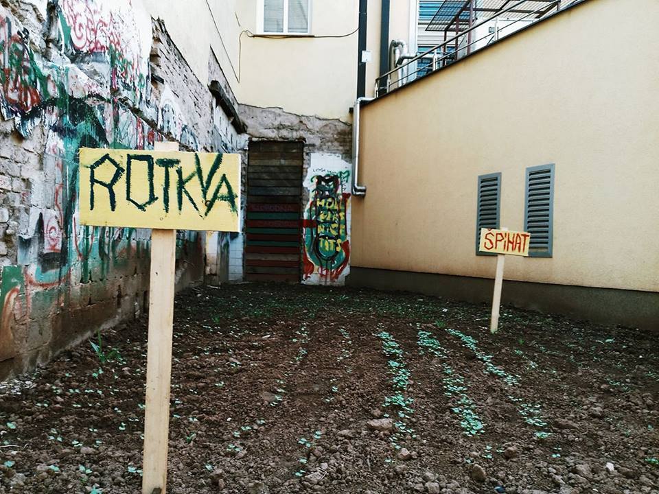 14355700_330152807330360_109483327331232620_n