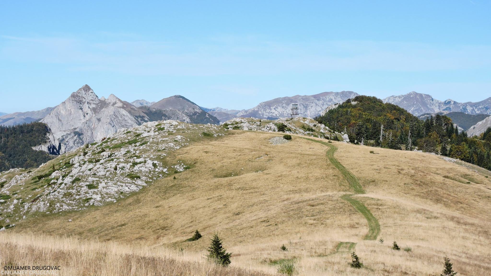 Muamer Drugovac / Avantur