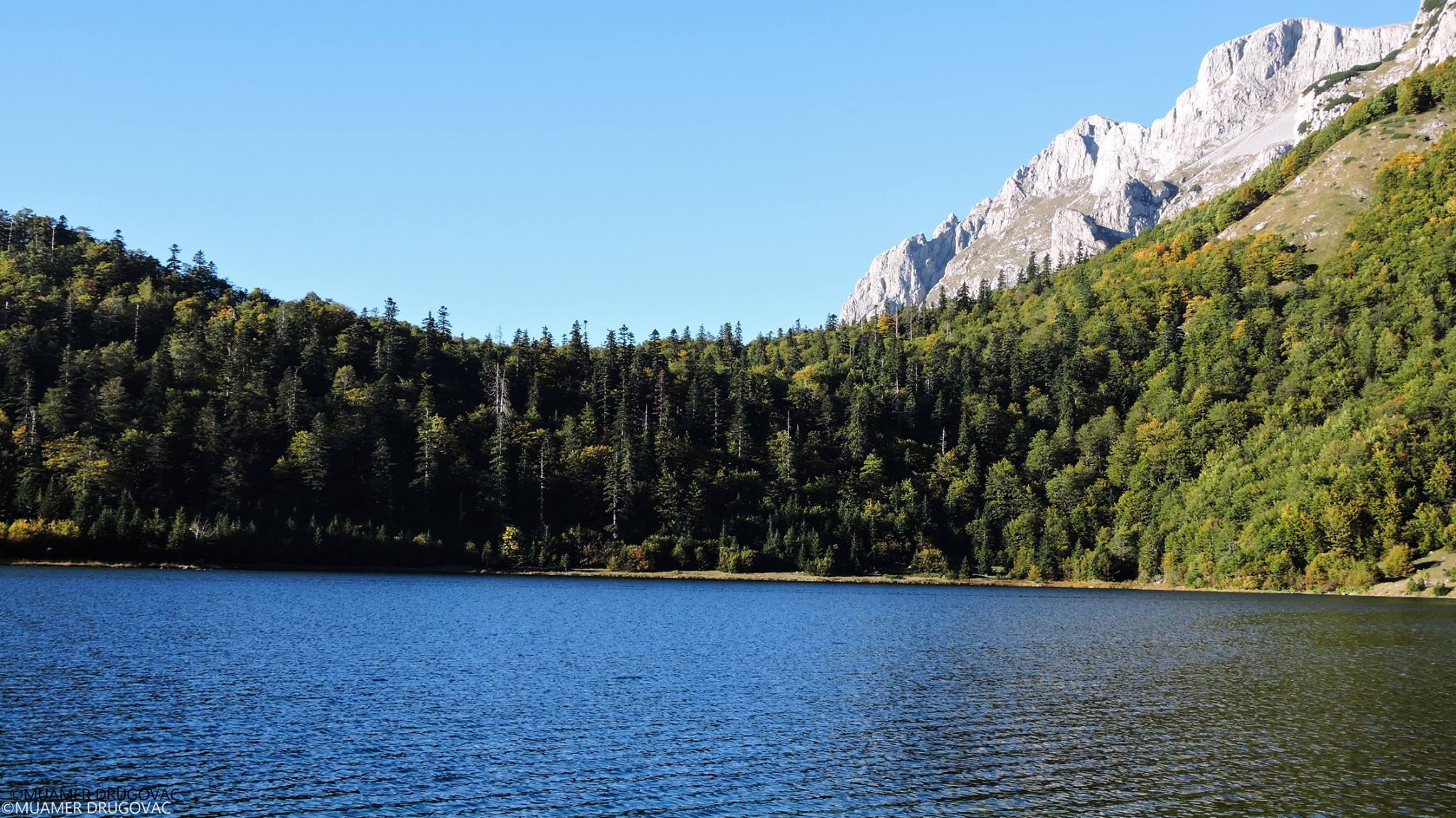 Muamer Drugovac / Avantur