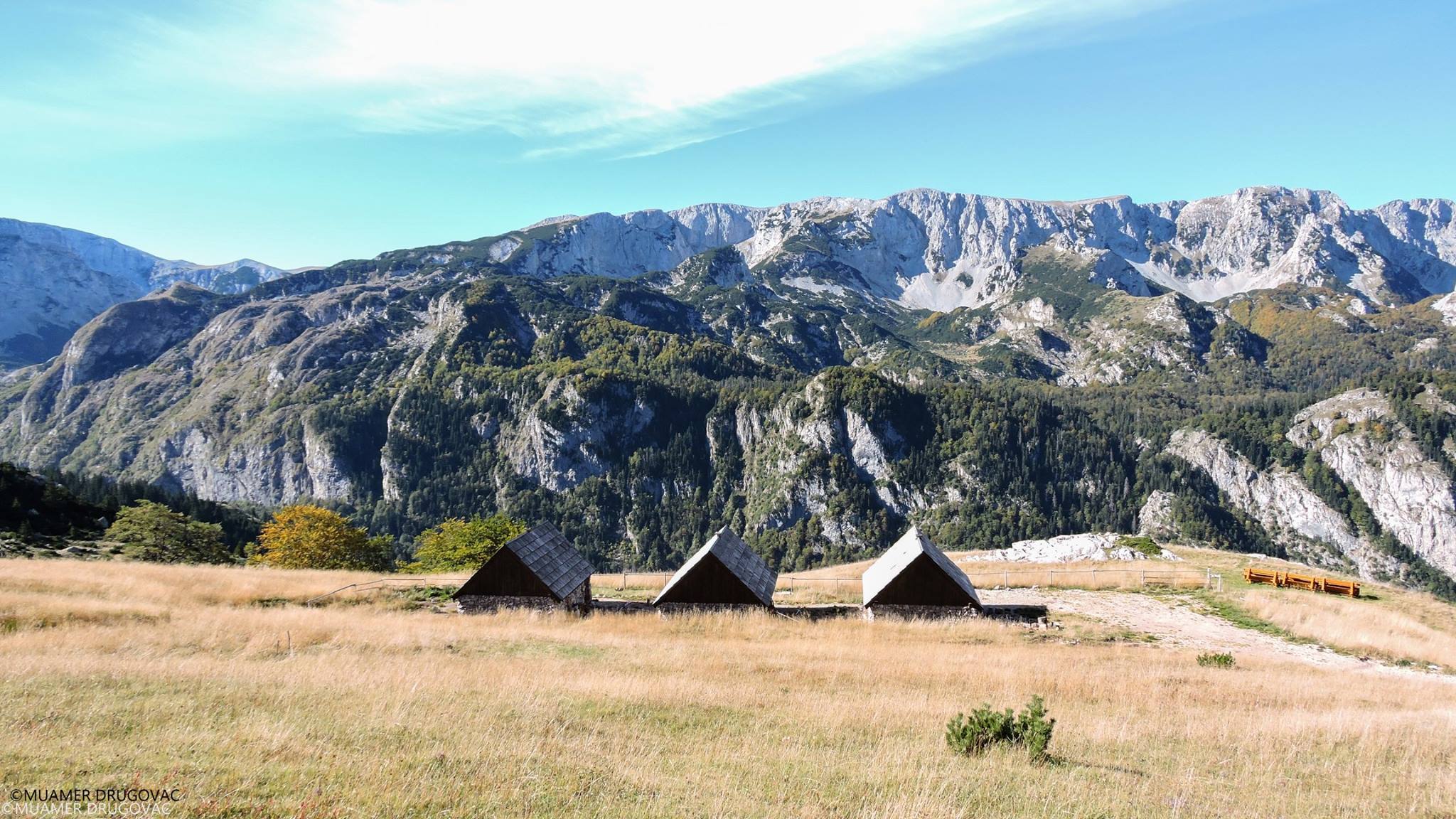 14500469_1295910033775105_1225322670295383399_o