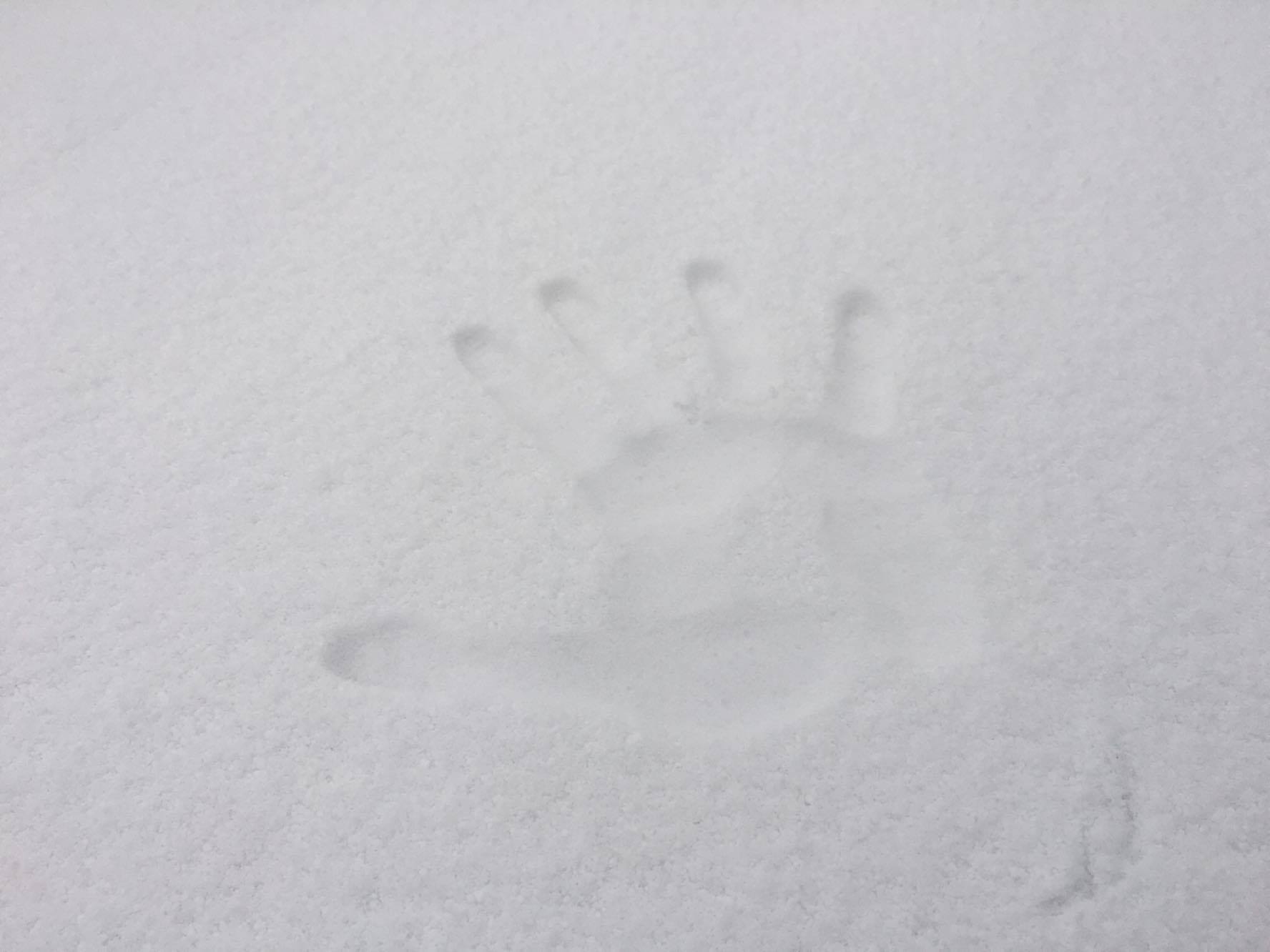 14551094_10154581115223684_270136893_o