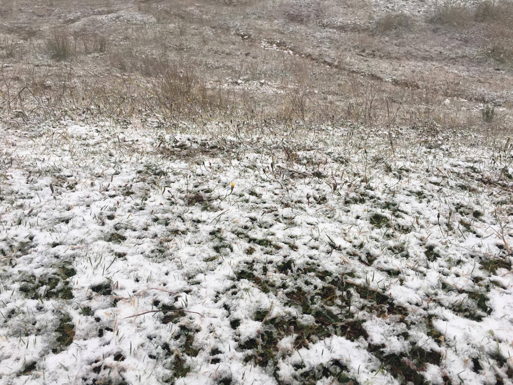 14600758_10154581114958684_1905877393_o