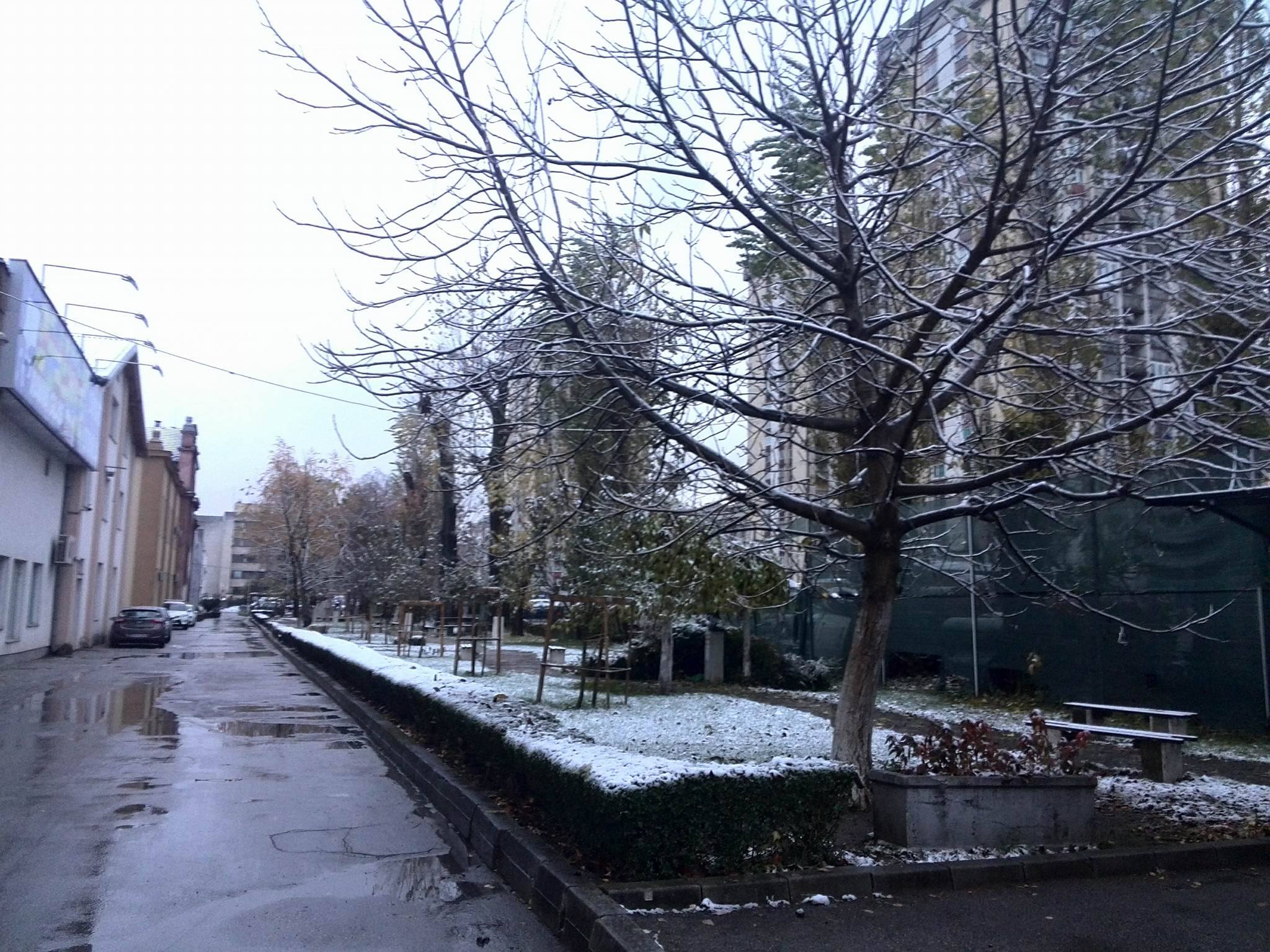 15044620_1220533567993013_1400718614_o