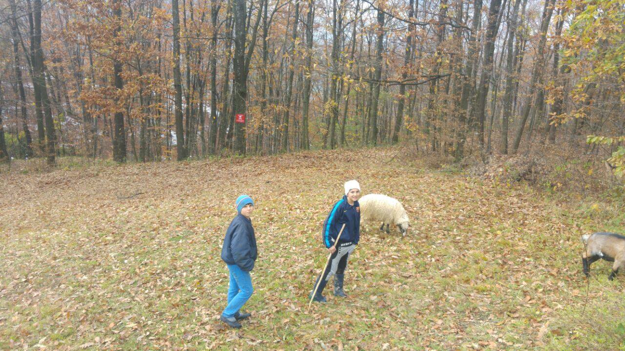 15063995_1791214811154989_1769792538_o