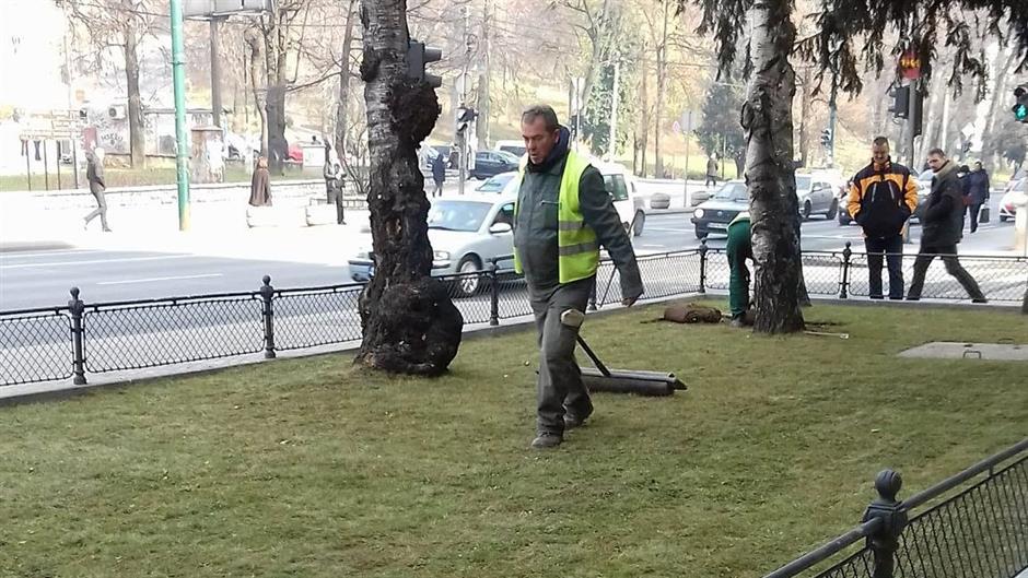 15302364_10154171427088693_1431232624_o